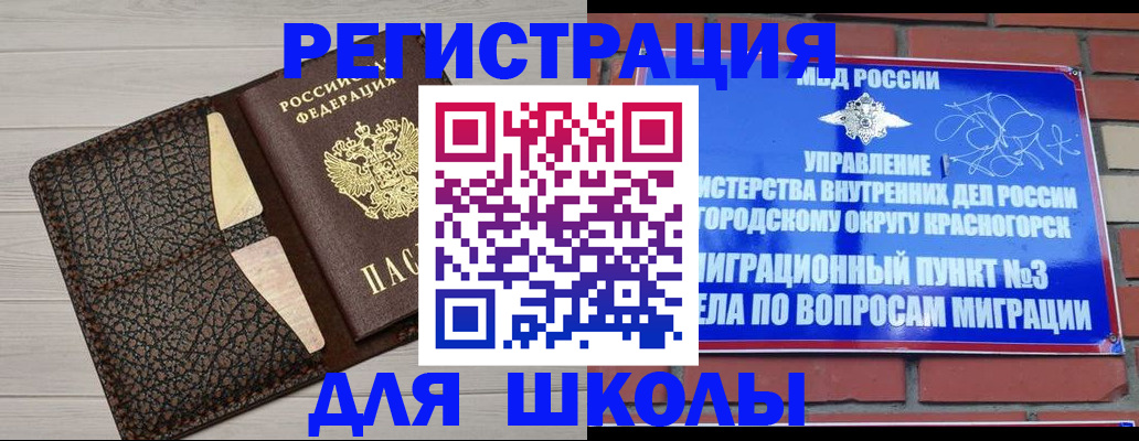 прописка в Невеле